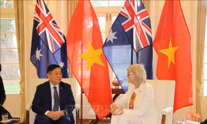 Toàn quyền Australia đánh giá cao sự phát triển tích cực trong quan hệ với Việt Nam