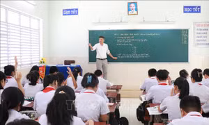 Chỉnh sửa nội dung một số môn học đáp ứng yêu cầu sắp xếp lại đơn vị hành chính
