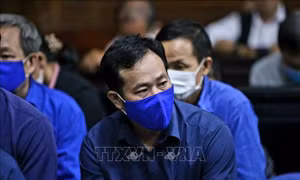 Tuyên phạt nguyên Giám đốc Công ty Lương thực Trà Vinh 30 năm tù