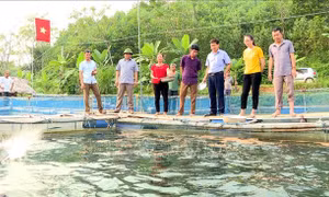 Người 'mở đường' giúp dân thoát nghèo ở xã 135