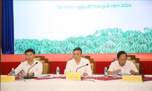 Đưa ngành sắn phát triển bền vững