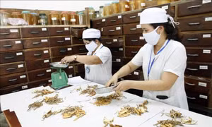 Phát huy vị thế, vai trò của y học cổ truyền trong chăm sóc sức khỏe nhân dân
