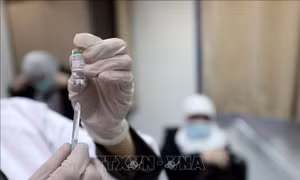 Trung Quốc thử nghiệm lâm sàng vaccine bất hoạt chống biến thể Omicron