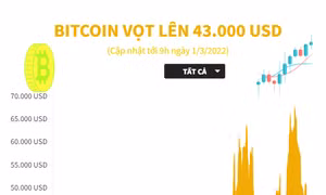 Bitcoin bất ngờ vọt lên 43.000 USD