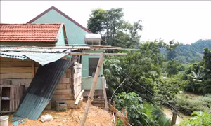 Nghệ An: Bố trí ổn định dân cư xen ghép cho 175 hộ ở vùng có nguy cơ thiên tai