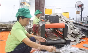 Sản phẩm OCOP sẵn sàng phục vụ thị trường Tết