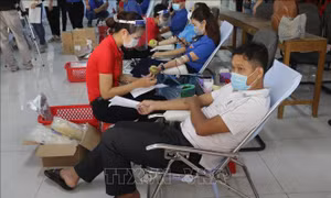 Cần Thơ tổ chức Ngày Chủ nhật Đỏ lần thứ XIII năm 2021