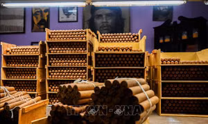 Cuba giành lợi thế trong cuộc chiến bảo vệ thương hiệu xì gà Cohiba
