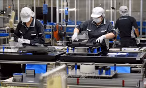 Nhật Bản: Số vụ doanh nghiệp phá sản cao nhất 13 năm