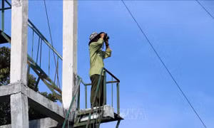 Vườn quốc gia Phú Quốc có hơn 6.770 ha nguy cơ cháy cao