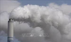 IMF kêu gọi định giá carbon để hỗ trợ chuyển đổi năng lượng