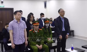 Cho vay sai quy định, nguyên Giám đốc Chi nhánh ngân hàng bị phạt 7 năm tù