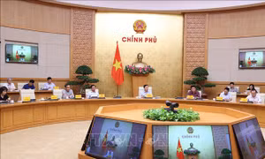 Quản lý dữ liệu đất đai theo thời gian thực, tạo thuận lợi cho người dân và doanh nghiệp