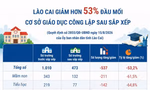 Lào Cai giảm hơn 53% đầu mối cơ sở giáo dục công lập sau sắp xếp
