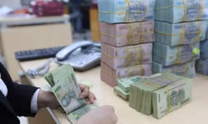 Quản lý, sử dụng nguồn thu từ chuyển đổi sở hữu doanh nghiệp, đơn vị sự nghiệp công lập