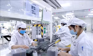 Trao quyền cho tổ chức khoa học và công nghệ ngoài công lập: Đòn bẩy tăng trưởng hai con số