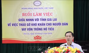 Ngành ngân hàng tháo gỡ khó khăn cho người trồng tiêu
