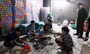 Triệt phá đường dây sản xuất thuốc đông y giả
