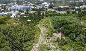 Đơn vị nào có khả năng xử lý 21.000m3 rác chắn cao tốc Cần Thơ - Cà Mau?