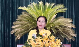 TP Hồ Chí Minh: Tập trung thực hiện đạt kết quả cao nhất 21 chỉ tiêu thành phần 