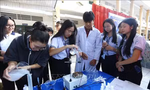 Triển khai mô hình liên kết kiến thức của nhiều môn trong cùng một tiết học