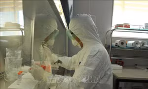 Dịch COVID-19: Chính thức có 6 đơn vị được làm xét nghiệm virus SARS-CoV-2