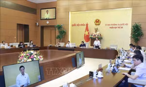 Phiên họp thứ 26 Ủy ban Thường vụ Quốc hội: Tội phạm ma túy diễn biến phức tạp 