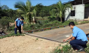 Kon Tum: Chấn chỉnh, xử lý các trường hợp xây dựng trạm cân trái phép