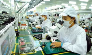 Doanh nghiệp châu Âu đánh giá tích cực môi trường thương mại, đầu tư của Việt Nam