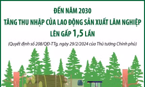 Đến năm 2030: Tăng thu nhập của lao động sản xuất lâm nghiệp lên gấp 1,5 lần