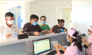 Chính phủ ban hành Chương trình hành động về tiếp tục xây dựng, hoàn thiện Nhà nước pháp quyền XHCN Việt Nam