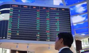 Một mã cổ phiếu trên UPCOM tăng gần 820%, thị giá gần 1 triệu đồng