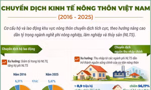Chuyển dịch kinh tế nông thôn Việt Nam giai đoạn 2016-2025