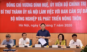 Làm gì để 'tam nông' của Hà Nội phát triển xứng với tiềm năng, thế mạnh?   