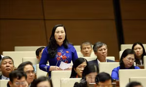 Tính tranh tụng trong xét xử ngày càng rõ nét hơn