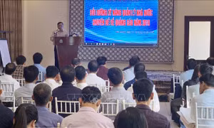 Nâng cao kỹ năng quản lý nhà nước về quảng cáo năm 2019
