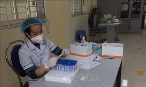 Hà Nội: Gia cố 'bờ đê' phòng, chống dịch