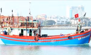 Xử lý nghiêm các vi phạm về khai thác hải sản