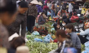 Chợ Nủa - phiên cuối năm