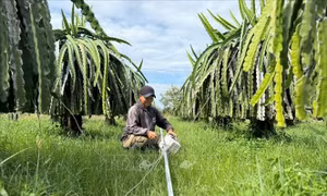 Khắc phục cơ sở hạ tầng, ổn định cuộc sống của nhân dân miền Trung sau bão lũ