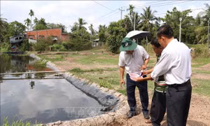Phòng chống hạn mặn ở Đồng bằng sông Cửu Long - Bài 2: Đồng thuận vượt qua mùa hạn