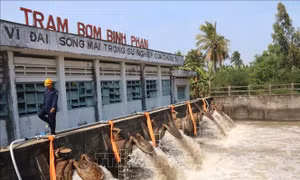 ĐBSCL đối mặt với hạn mặn kỷ lục - Bài 2: Xây dựng kịch bản ứng phó
