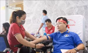 Hàng nghìn bạn trẻ tình nguyện hiến máu trong ngày Chủ nhật Đỏ