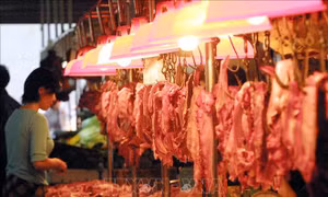 Trung Quốc áp thuế chống bán phá giá đối với thịt lợn của EU