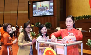 Quốc hội miễn nhiệm Chủ tịch Quốc hội khóa XIV, Chủ tịch Hội đồng bầu cử quốc gia
