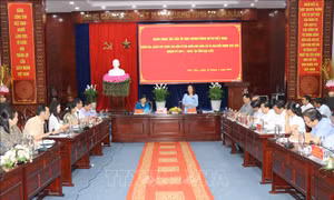 Bạc Liêu cần tăng cường việc tuyên truyền bầu cử