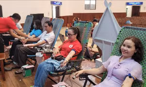 Những giọt máu hồng mang tình yêu và hy vọng