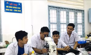 Thành lập Hội đồng thẩm định nhiệm vụ lập Quy hoạch mạng lưới cơ sở giáo dục đại học và sư phạm