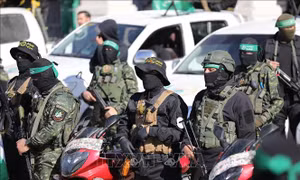 Hệ thống bí mật giúp Hamas trả lương cho hàng chục nghìn người giữa chiến sự Gaza