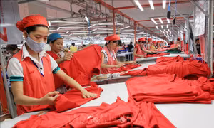 Cơ chế hợp tác kinh tế, thương mại Việt Nam - Mỹ phát huy hiệu quả trong năm 2024